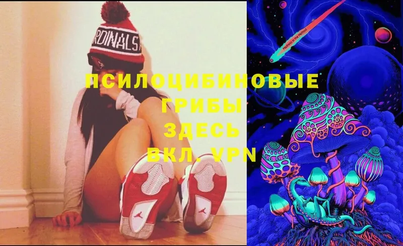 Галлюциногенные грибы Magic Shrooms Армянск